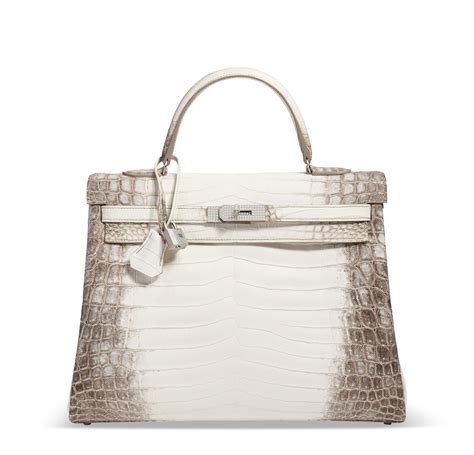 hermes himalayan symbiosis|himalayan birkin hermes.